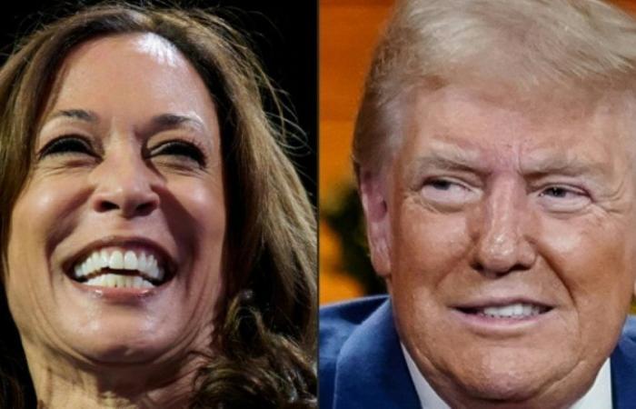 Trump y Harris se detienen en el mismo estado clave, Michigan: Noticias