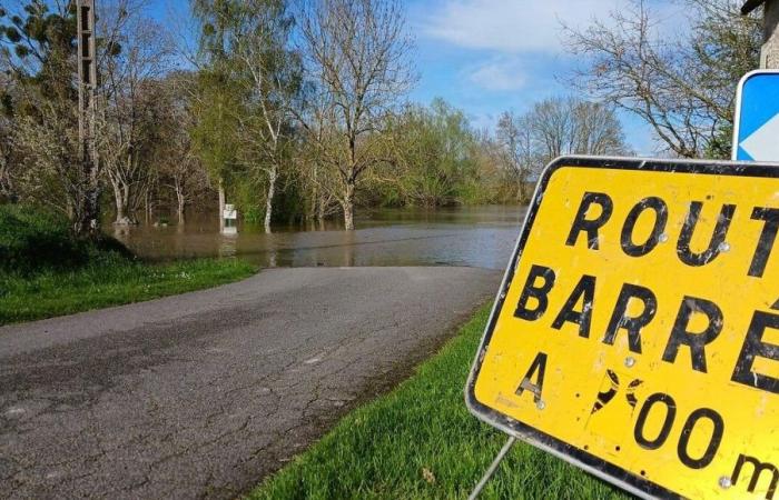 Carreteras cortadas, caída de árboles, inundaciones: las fuertes lluvias en Indre causaron algunos daños