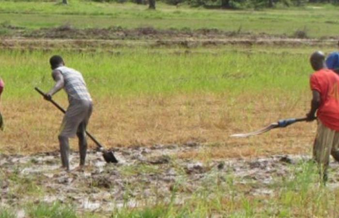 Necesidad de una acción colectiva para erradicar las desigualdades (Sadiki) – AgriMaroc.ma