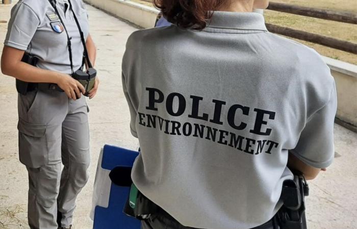 Landas. Contaminación en un curso de agua en Cazères-sur-l’Adour, las razones identificadas