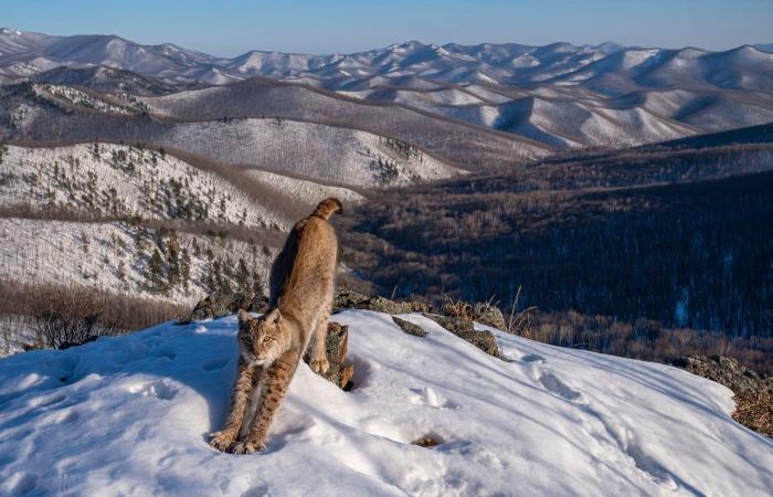 las fotos de naturaleza más bellas y premiadas