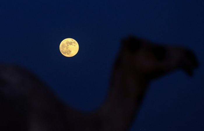 Las imágenes más bellas de la superluna de todo el mundo.