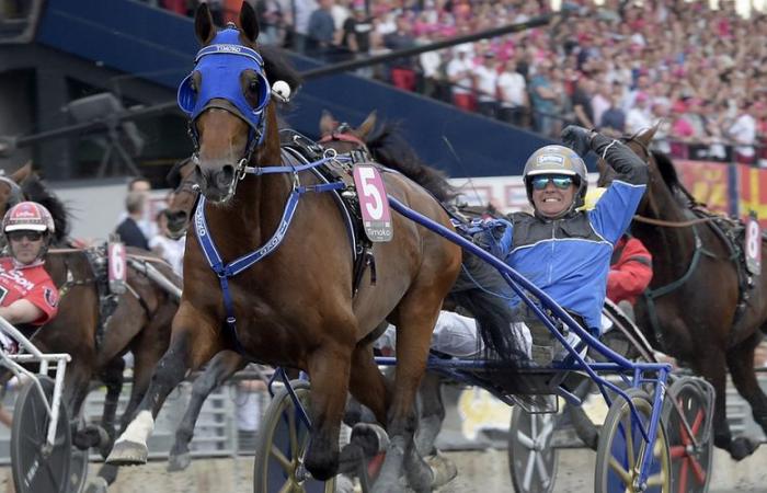 El 10% de un caballo de carreras a ganar, un recorrido con sable láser, bolsas de medicinas distribuidas… Lot y Garona en breve