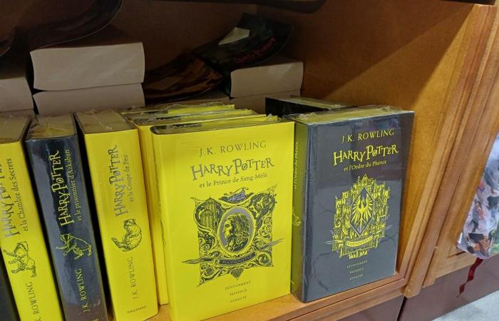 En Montauban, los comercios se sumergen en la atmósfera de Harry Potter