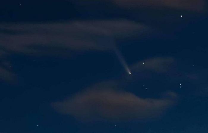 este vecino de Ploufragan observó el “cometa del siglo”