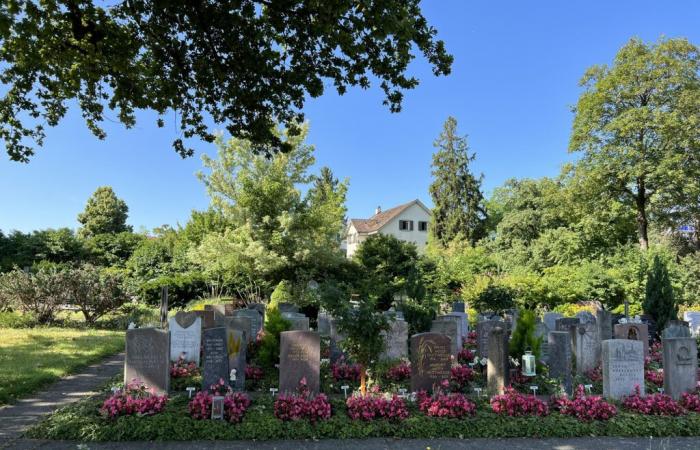 Tony Marinaro llama a un cementerio