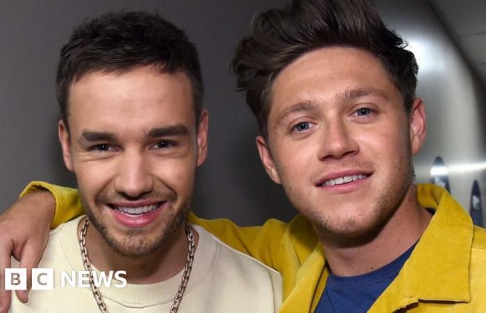 Niall Horan dice que la muerte de Liam Payne “no parece real”