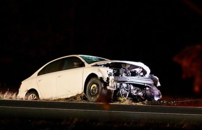 Un hombre muere trágicamente al intentar atrapar a su mascota en la A-10