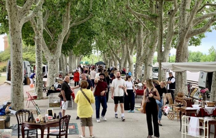 un día especial de cine en el Dimanche du Peyrou