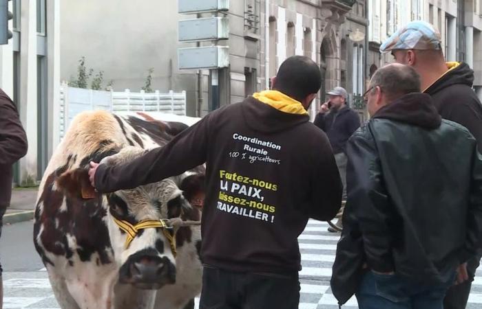 Nueva acción de agricultores de la Coordinación Rural 87 para denunciar citación judicial