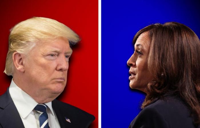 Trump, Harris… ¿quién ocupará la Casa Blanca? Christophe Deborsu revela los secretos de la batalla final