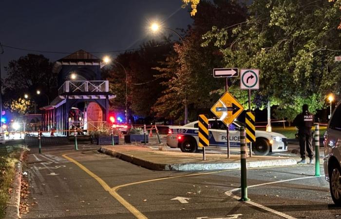 Ataque armado en un parque de Montreal: 3 heridos, uno de ellos grave