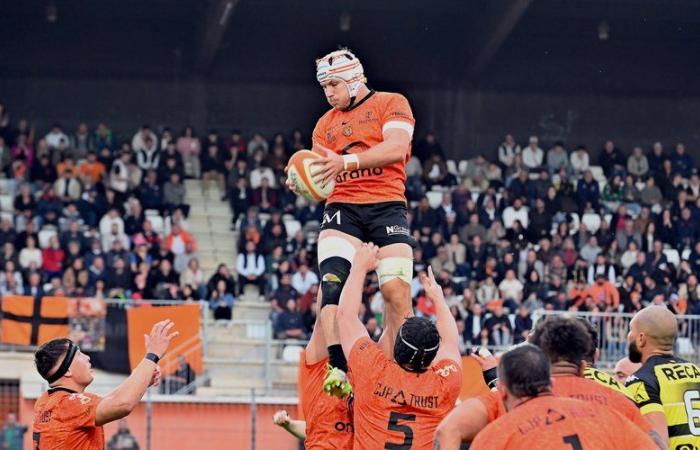 Rugby – Nacional: para su partido número 50 en Narbona, el tercer lateral Thibault Clauzade cree que “es realmente importante recuperar 4 puntos de Bourgoin”