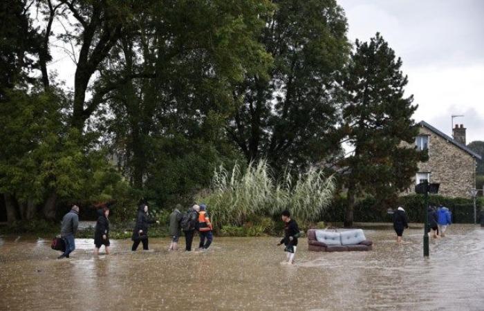 Muerto y dos niños heridos tras caída de un árbol en París: “Nunca antes había vivido esto”