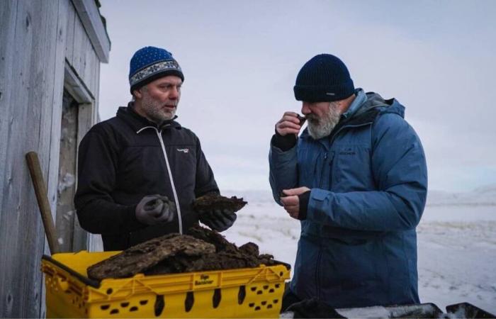 Esta tarde, la M6 lleva a Philippe Etchebest a Islandia