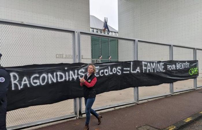 Liberación de animales en el Lido en enero de 2023: los agricultores de la Coordinación Rural 87 se manifiestan frente a la ciudad judicial de Limoges