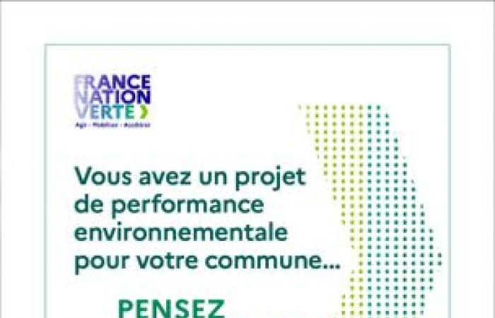 Sistema Fondo Verde – Edición 2024 – Fondo Verde – Finanzas Locales – Autoridades Locales – Acciones Estatales