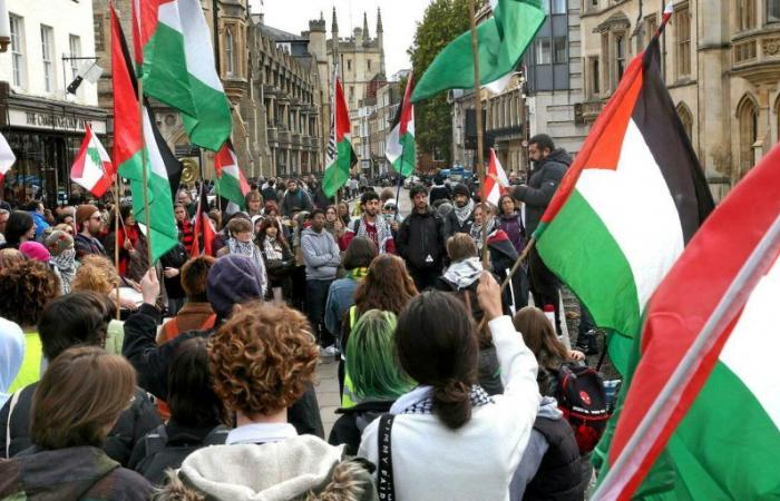 La ONU acusa a Francia de haber reprimido “duramente” manifestaciones pro palestinas