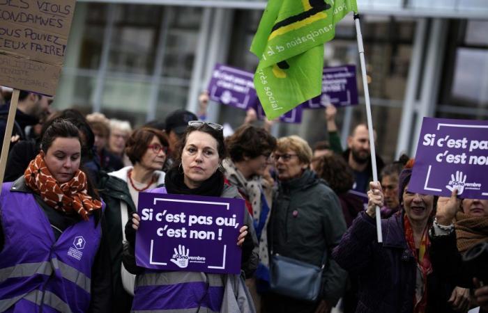 Varias manifestaciones en toda Francia en apoyo de Gisèle Pelicot