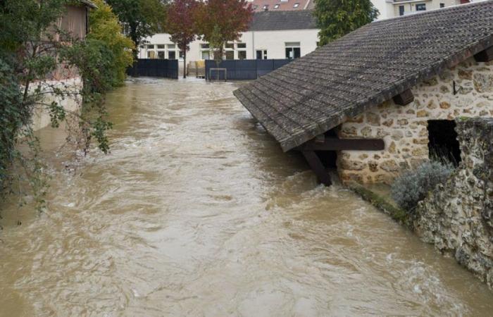 Inundaciones: el Ministro de Economía insta a las aseguradoras a indemnizar a las víctimas: Noticias