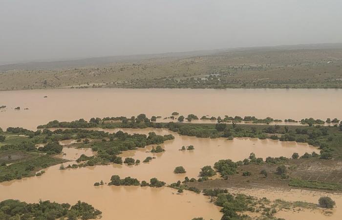 Río Senegal: 55.600 víctimas y 1.002 ha inundadas – oficial | APAnoticias