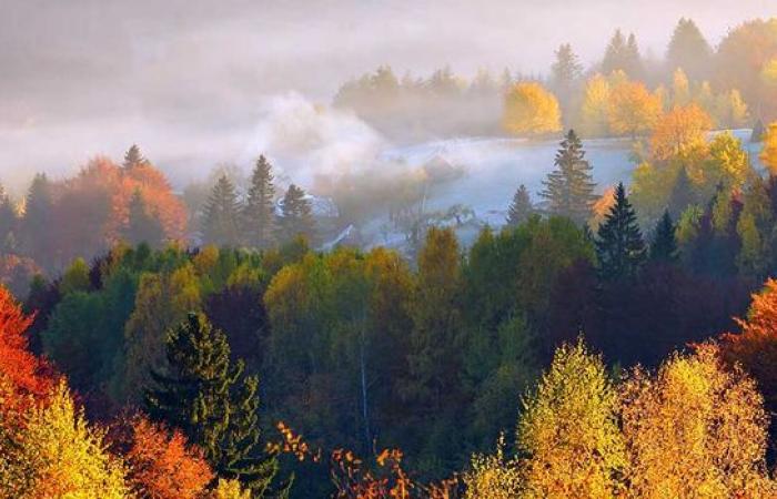 Tiempo mañana domingo: alta presión con sol y niebla