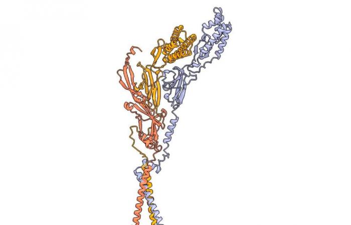 Detalles moleculares de la conexión óvulo-esperma revelados gracias a la IA