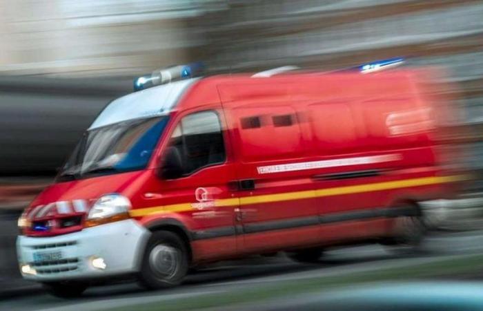 Dos jóvenes de 18 y 19 años murieron en un accidente de tráfico, se encontraron cadáveres de jabalíes en la carretera