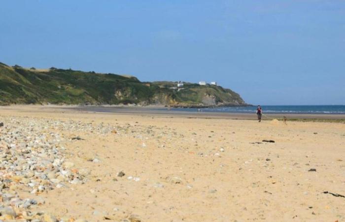 Calma en julio, no más turistas alemanes… Balance de la temporada de verano en Paso de Calais