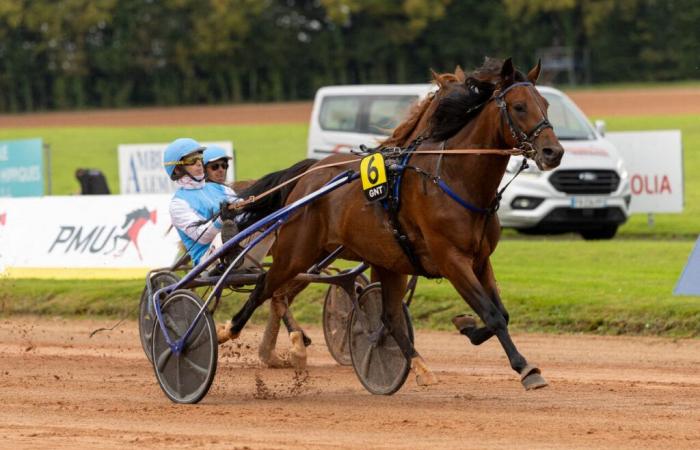 Caballos, conductores de crack y paseos en pony este lunes en el hipódromo de Cherburgo