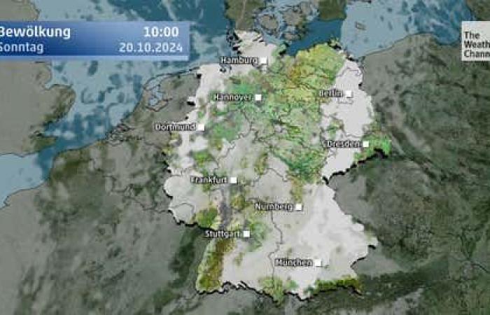 Clima este fin de semana: hará un calor excepcional para la época del año