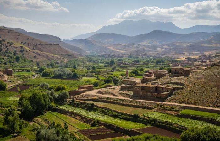 Informe meteorológico. Temperaturas en aumento y clima estable en todo el país este sábado 19 de octubre