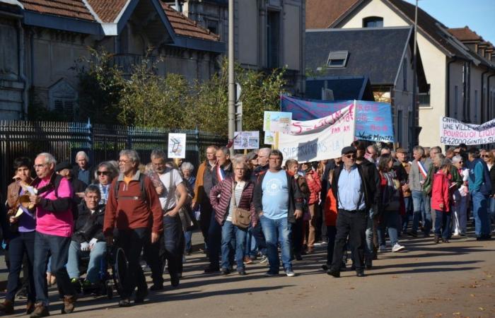 cuando los intransigentes Langrois se manifiestan en Chaumont