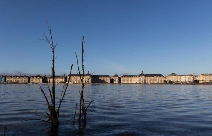 Gironda entra en alerta naranja por riesgo de inundaciones… ¿qué nos espera este fin de semana?