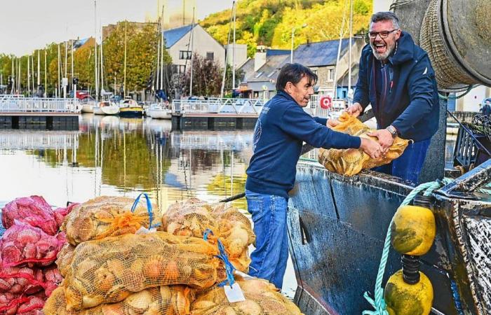 “¡No es todos los días!” »: en Saint-Brieuc con los primeros golosos de la Fiesta de las Vieiras