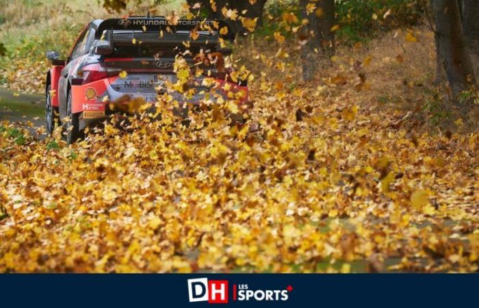 Thierry Neuville llega como líder a Alemania: “¡Hicimos Rápidos, pero no Furiosos!”