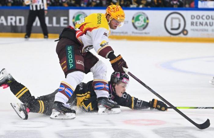 Hockey sobre hielo: Ajoie derrotado por Genève-Servette, su entrenador está en peligro