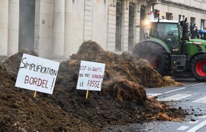 “La presión sobre las explotaciones agrícolas es inmensa”, advierte el presidente de los Jóvenes Agricultores de Côte-d’Or