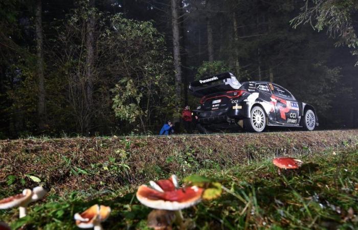 Rally de Europa Central | Sébastien Ogier (Toyota) sólido en cabeza, Thierry Neuville (Hyundai) a la deriva