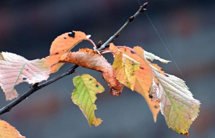 El tiempo el sábado 19 de octubre de 2024: pronóstico del tiempo actual y tendencia de 3 días