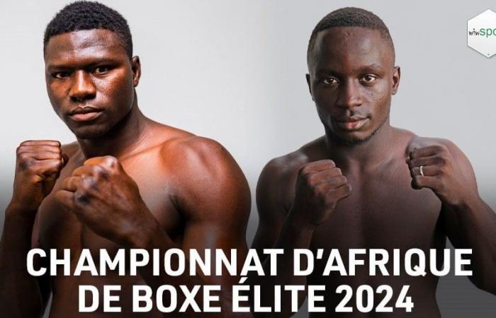 Campeonato africano de élite: ¡Con 12 boxeadores, Senegal entra en combate esta noche!