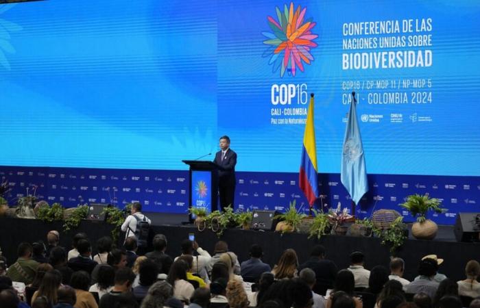 COP16: Jefe de la ONU pide importantes inversiones