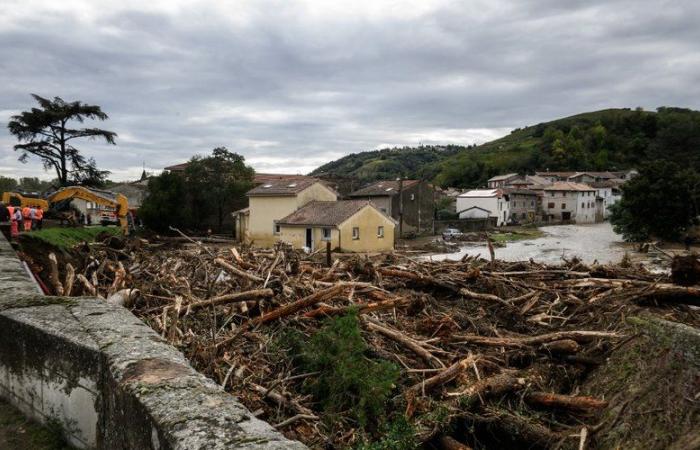 Inundaciones: una mujer se suicida al caer en un agujero formado por las inundaciones en Ardèche