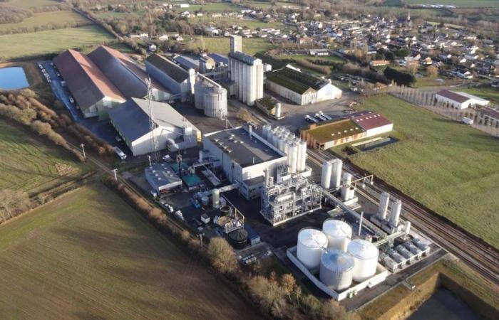 Otro incendio de silo de girasol.