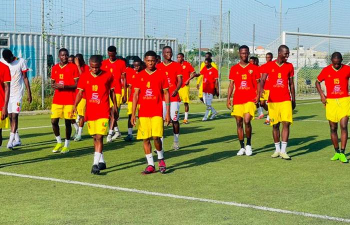 Guinea (nuevamente) descalificada por fraude de edad – Guineefoot