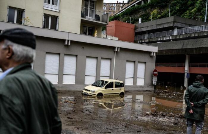 Una mujer se suicida al caer en un agujero formado por las inundaciones en Ardèche