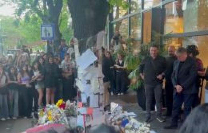 Muere el actor flamenco Peter Gorissen a los 69 años