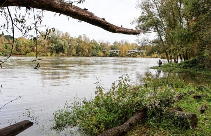 El Loira bajo estrecha vigilancia tras las recientes inundaciones