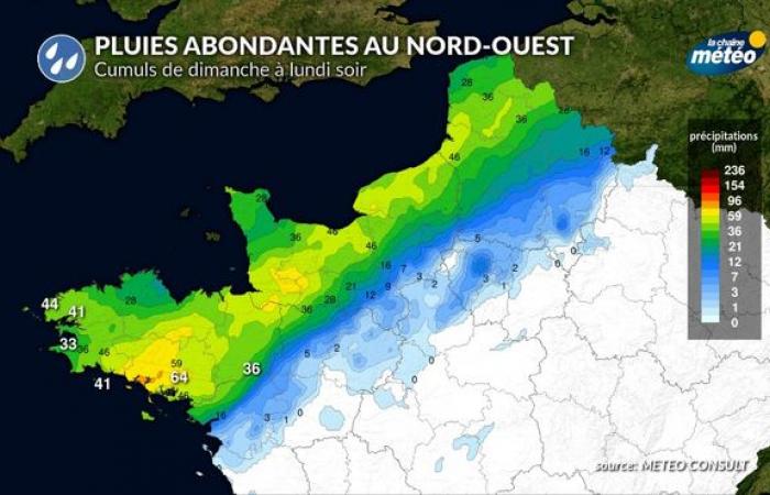 Clima domingo 20 de octubre: clima primaveral en ¾ del país, excepto en el noroeste