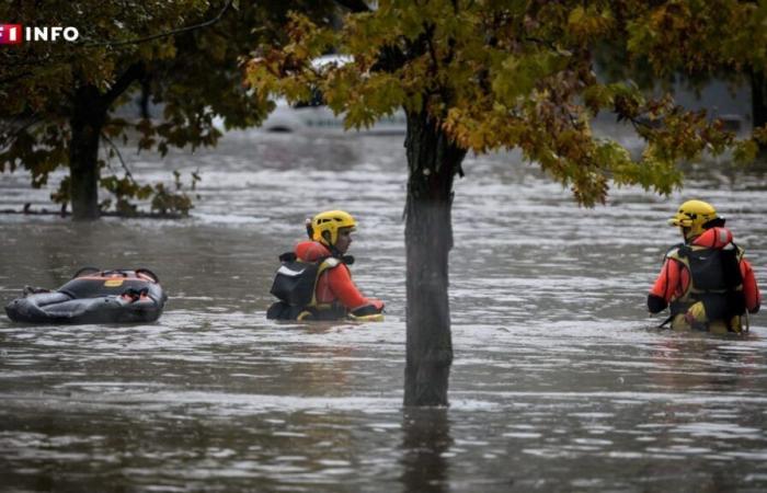 Inundaciones: Panga, la vaca símbolo de la devastadora inundación, encontrada muerta en Alto Loira